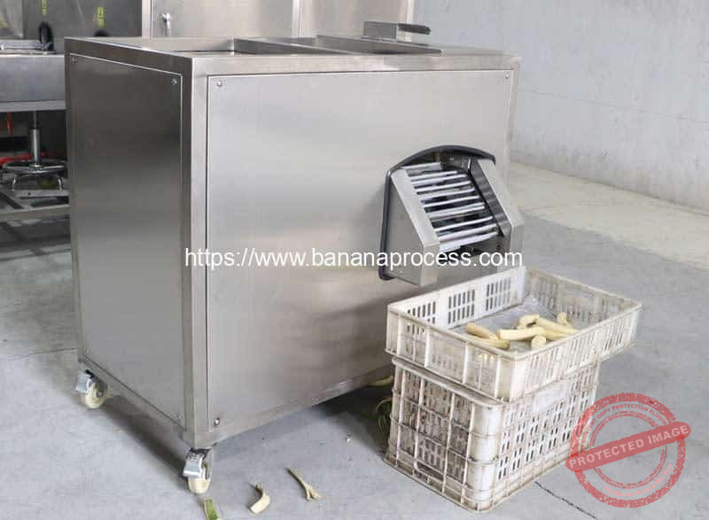 2023-Green-Banana-Peeling-Machine-for-Brasil